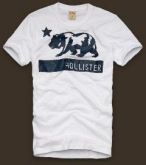 Camiseta Hollister