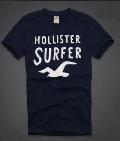 Camiseta Hollister